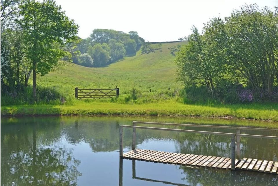 Wildlife Pond