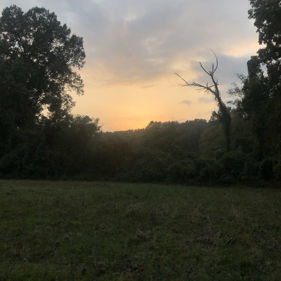 One of many fields on the property