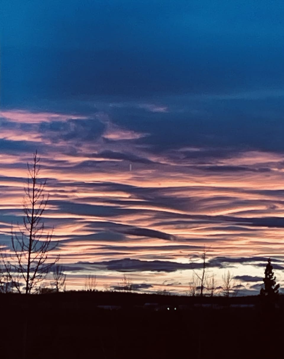 Gorgeous night sky!