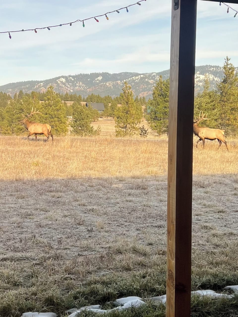 View from property