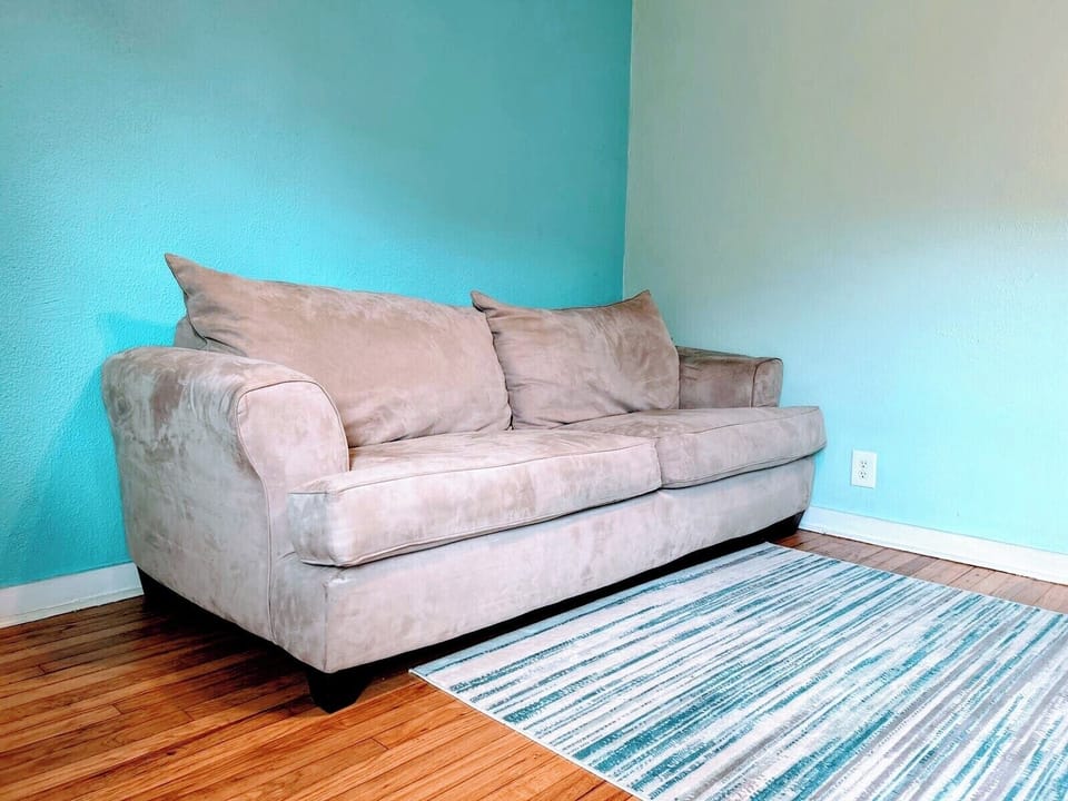 Plush double sleeper sofa
