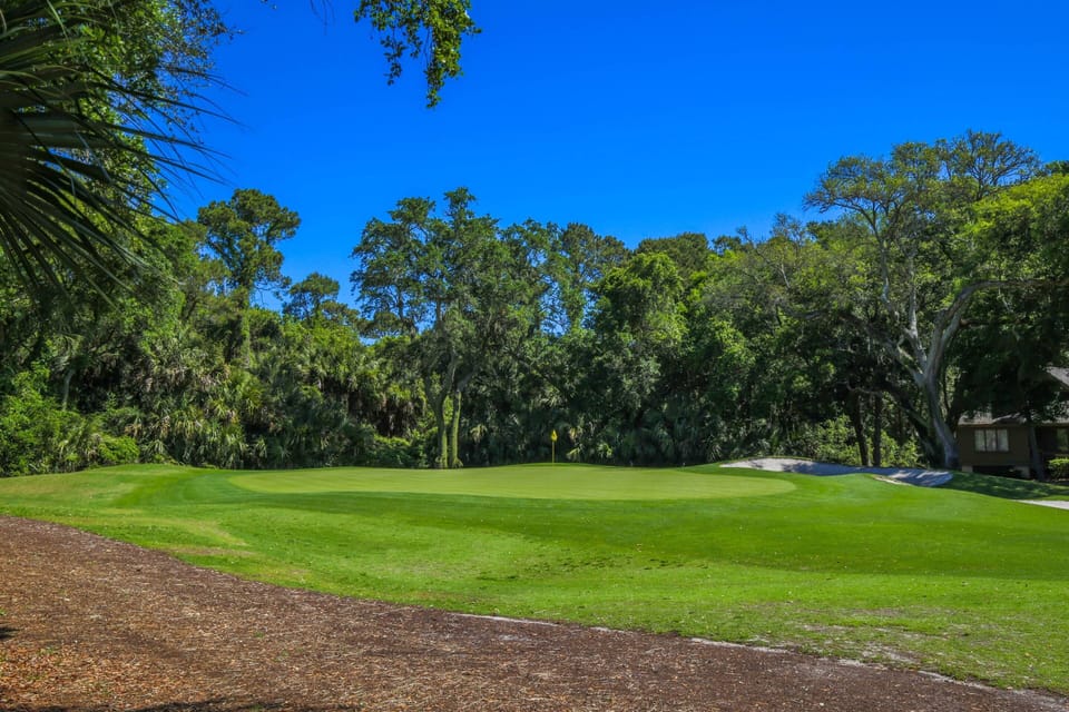 Palm Warbler features views of the Cougar Point golf course.