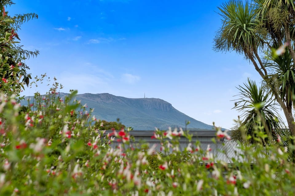 View of Mount Wellington/kunyani