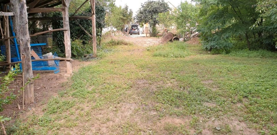 Property grounds