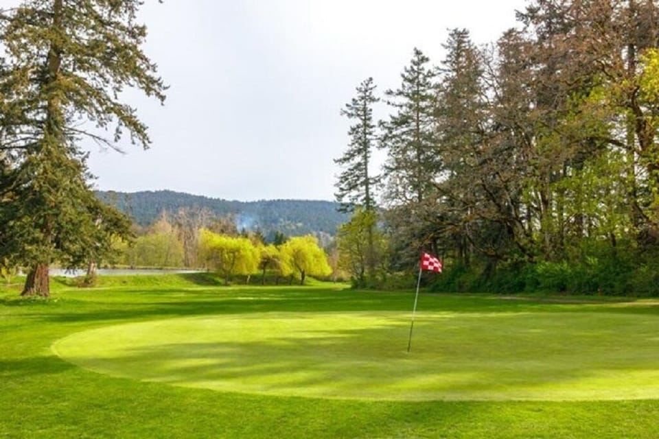 Ardmore Golf Course- 600m walk through trails
