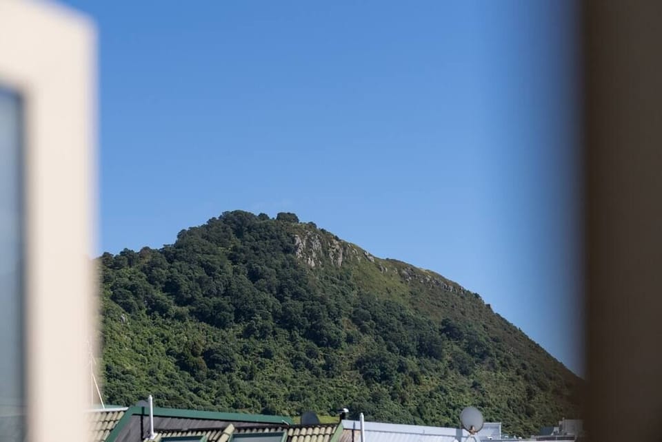 View Of Mauao
