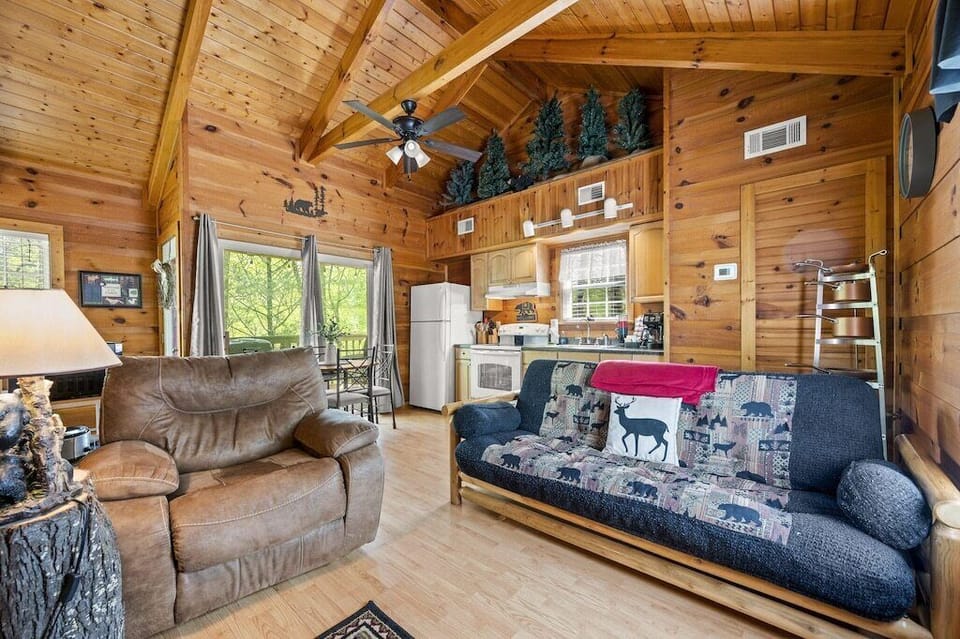 Mountain Mist's cozy living area