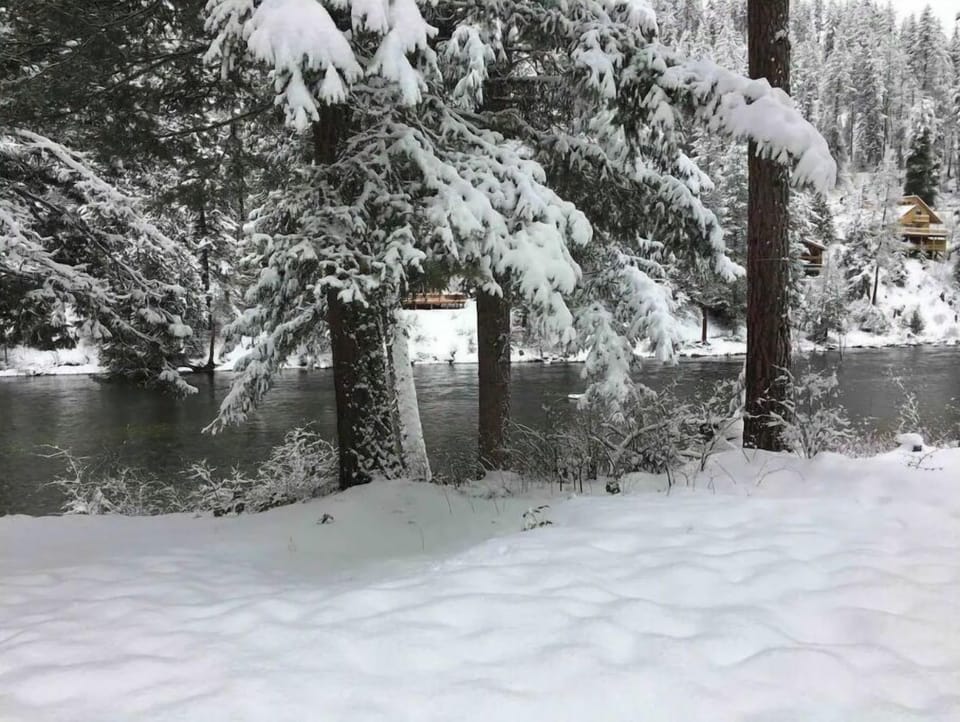Back yard in winter