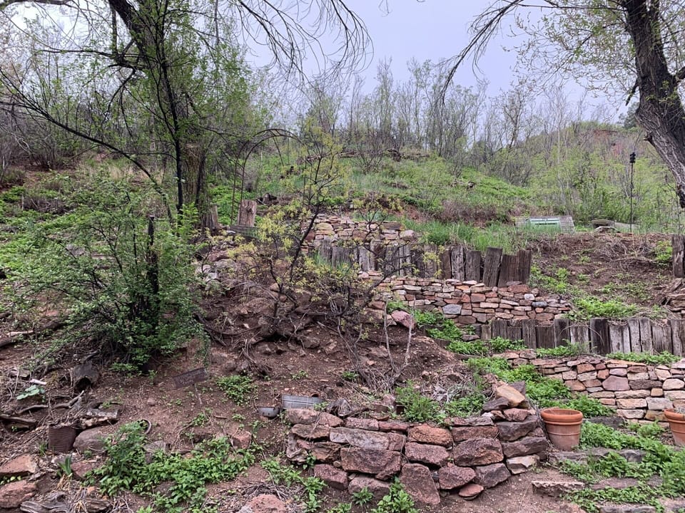 Garden view out Inspiration Room and Kitchen.