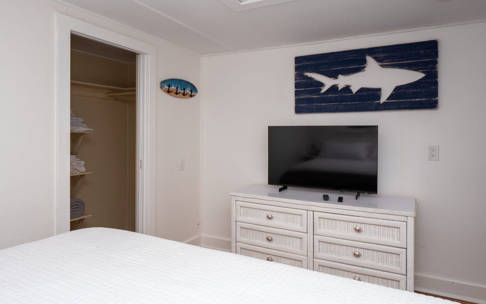 Smart TV and walk in closet in the guest bedroom. 