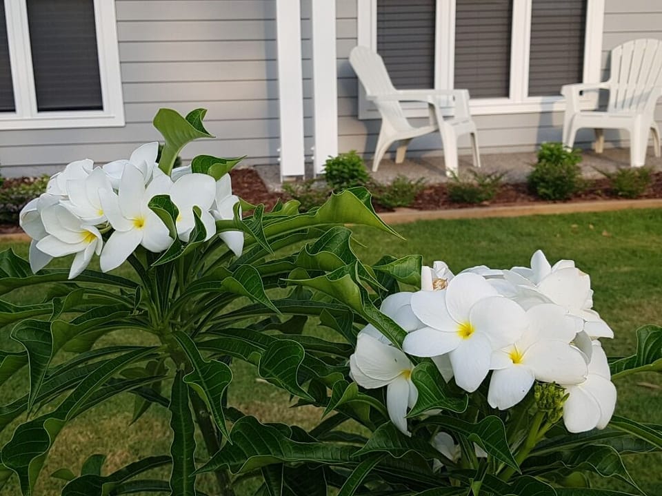Hamptons Frontage