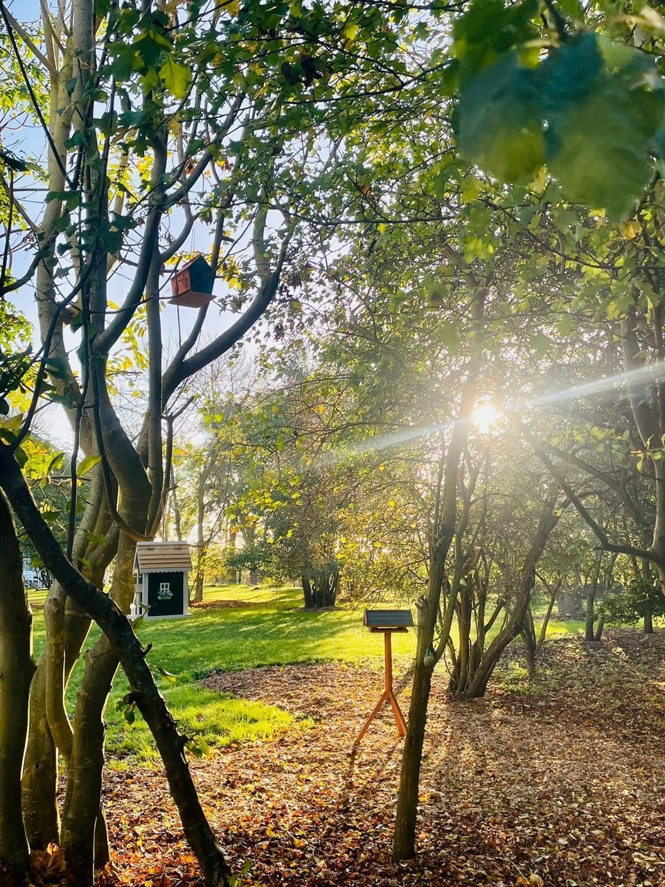 Miscellaneous