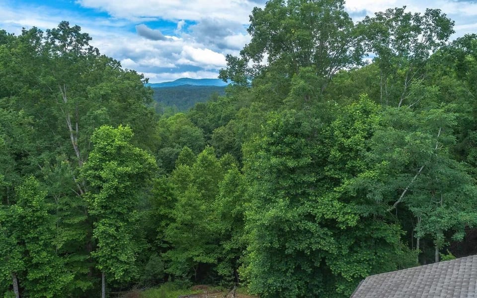 Roost On The Ridge - Georgia Mountain Cabin Rental