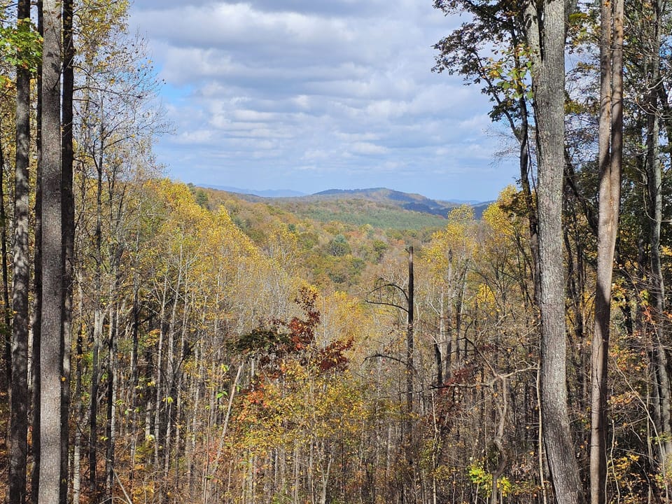 A gorgeous view off the back deck of this Blue Ridge Cabin Rental 