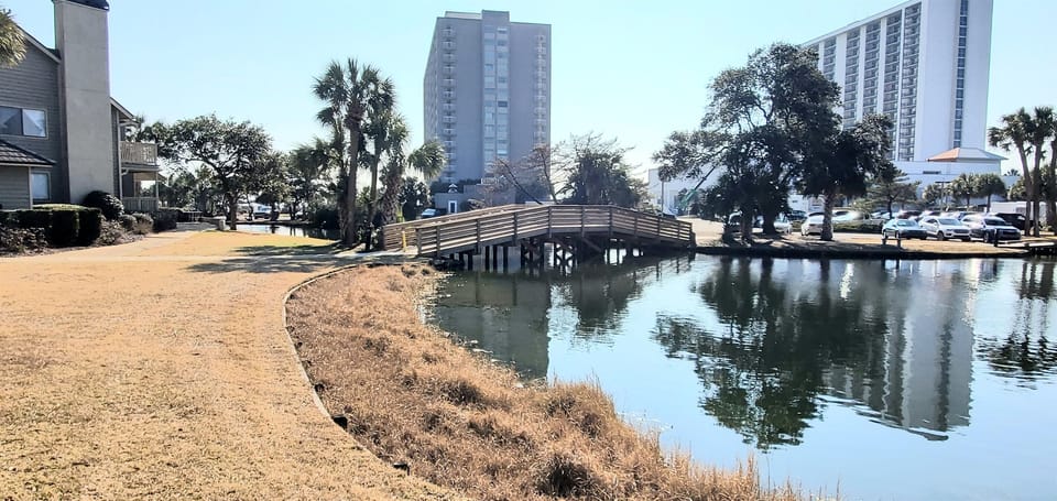 Bridge to the beach