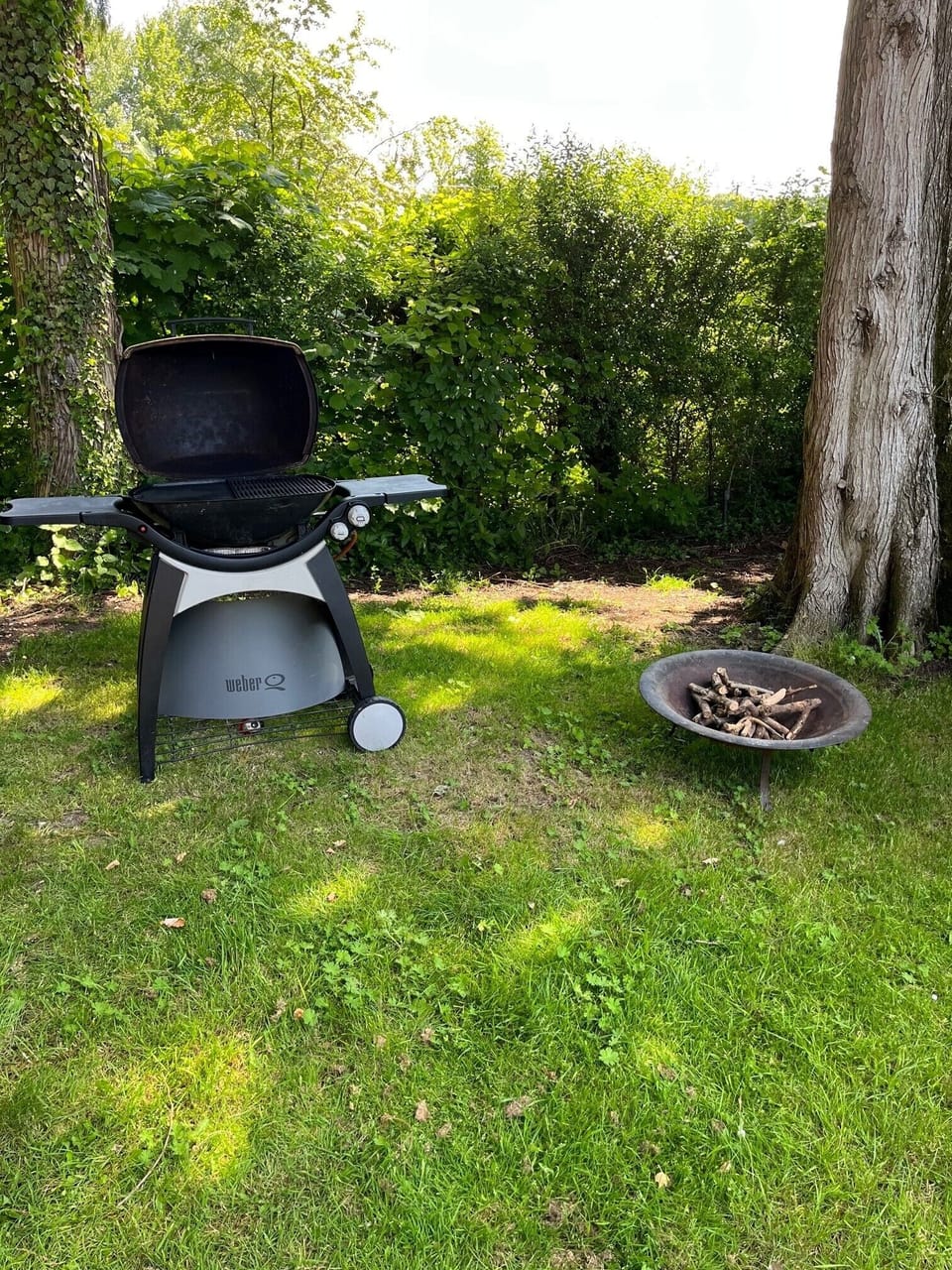 Weber gas BBQ  and fire pit  - logs supplied