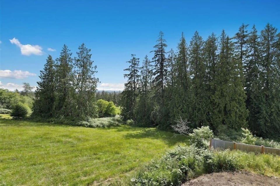 Backyard nature views