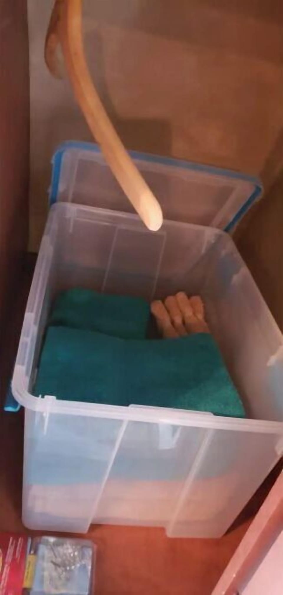 Clean towels, wash cloths. 