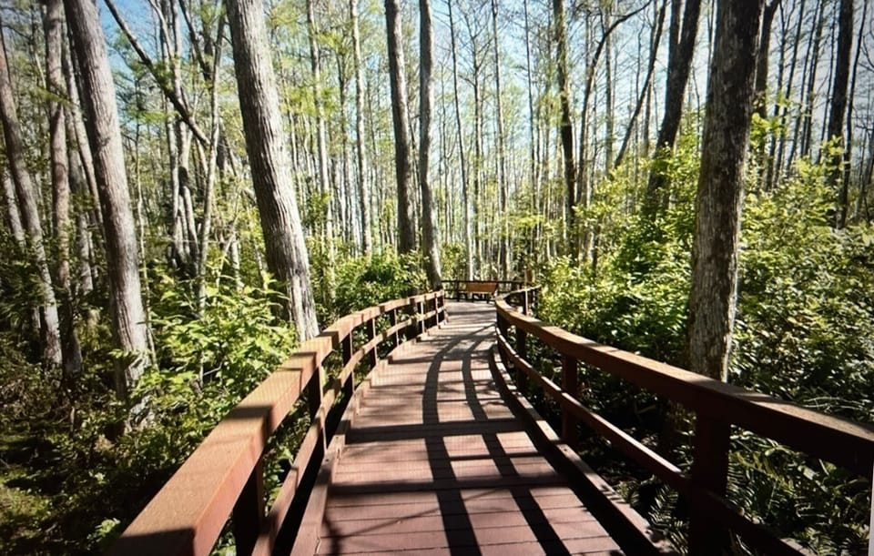 Miles of beautiful walking trails right in back of condo.
