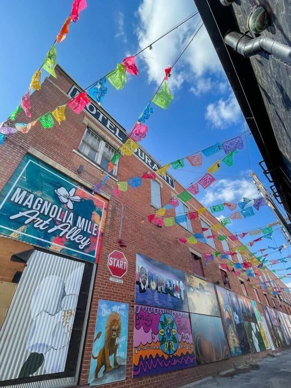 Discover the Magnolia Avenue Arts District, where colorful murals, local galleries, and creative businesses highlight Knoxville's artistic side. It's a fun destination for photos and exploring local culture.