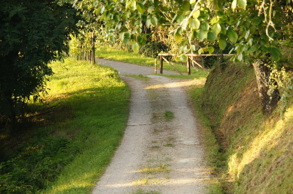 The road to the property