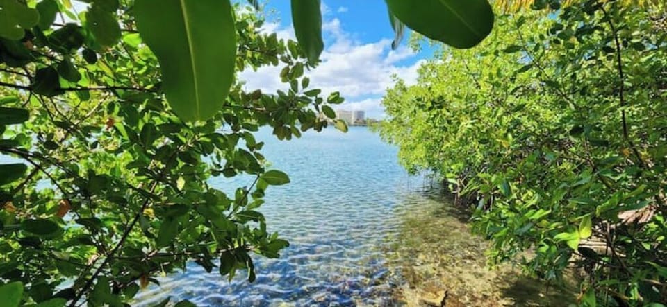 Lagoon