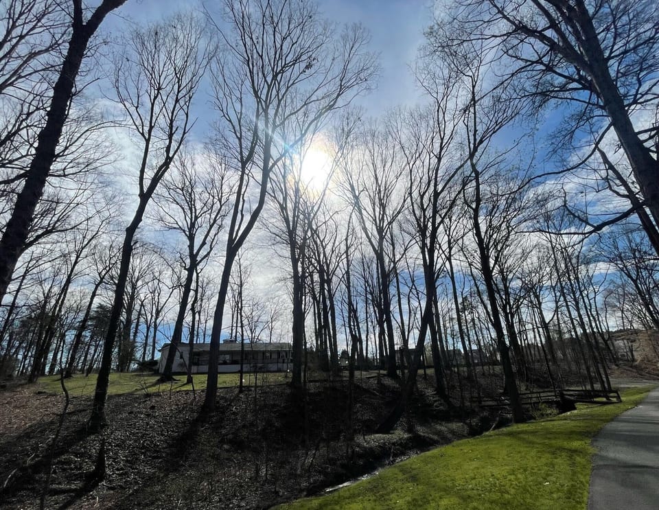Carolina blue skies await here at this hidden gem of a home.