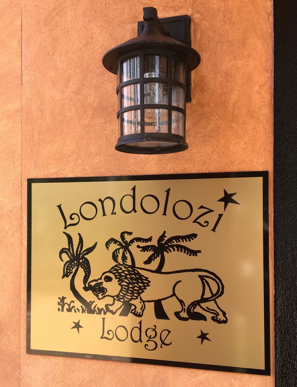 Londolozi Lodge Welcome!