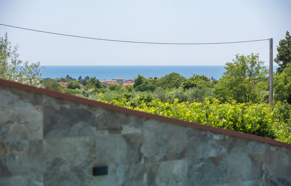 view-from-room