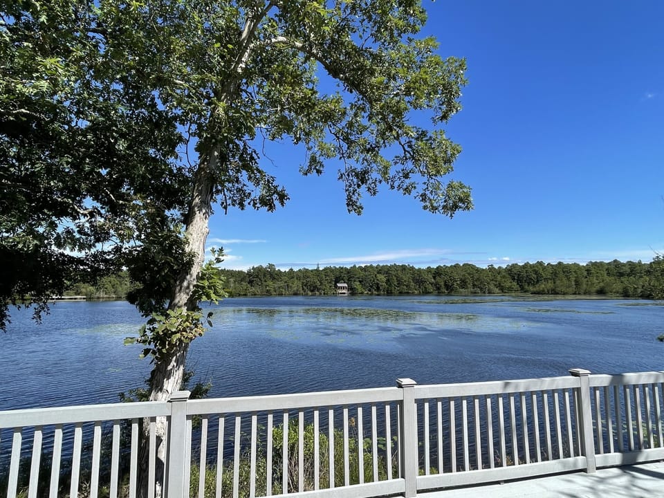 View from property
