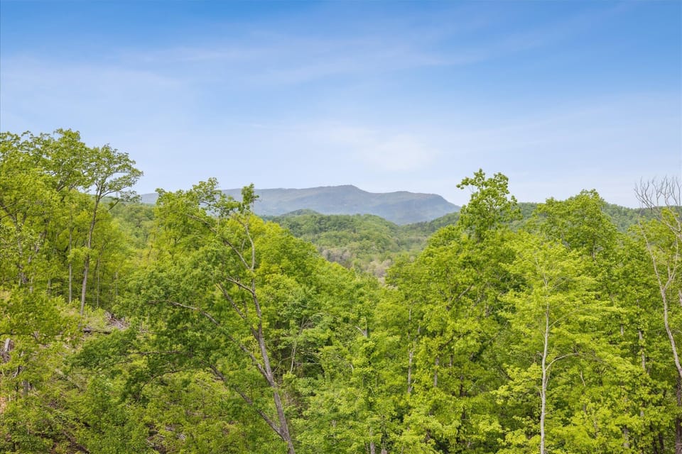 Back Deck View