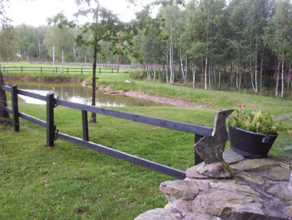 the garden