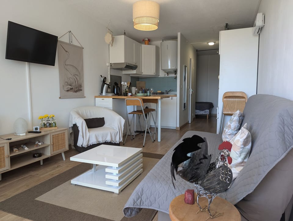 Living room with double sofa bed, open to the kitchen equipped and functional