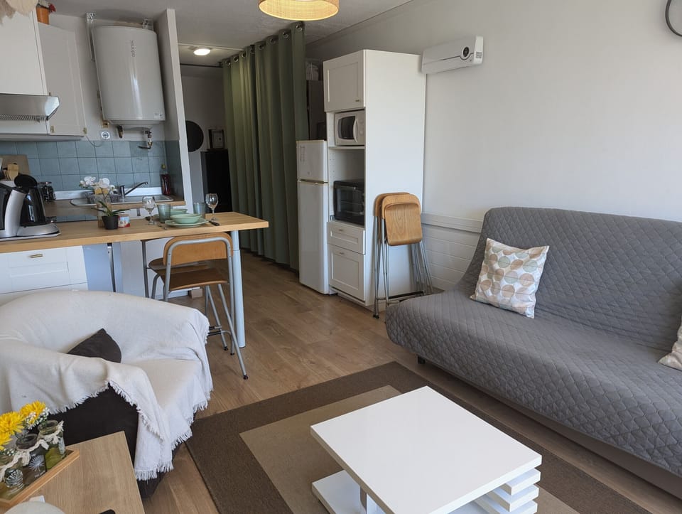 Living room with double sofa bed, open to the kitchen equipped and functional