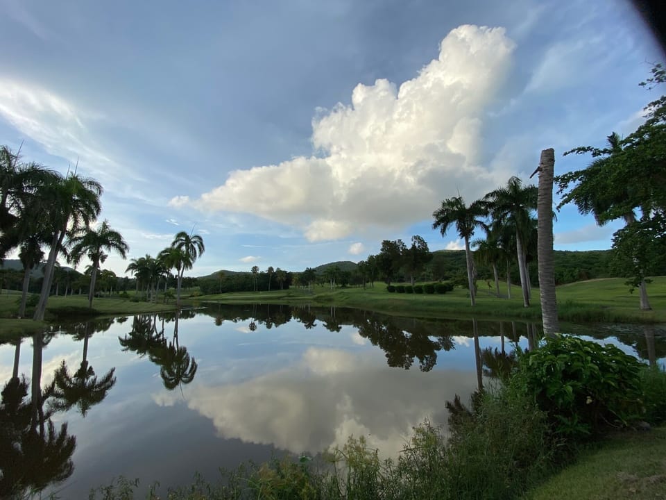 Lush grounds, pond and golf course