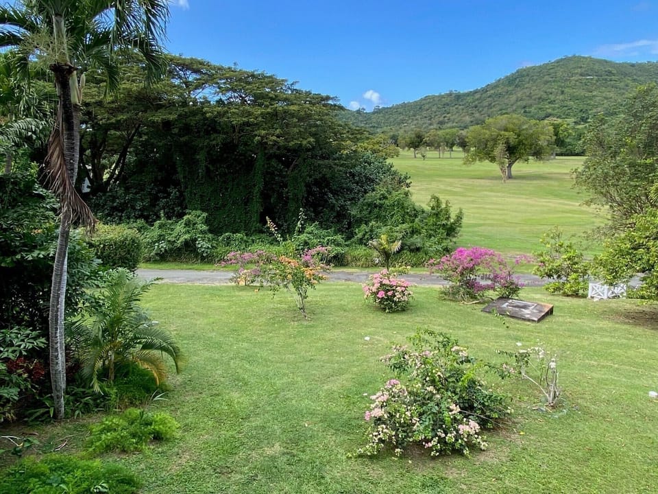 View from back deck