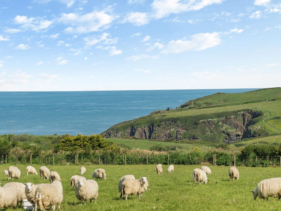 Surrounding area | Caerau Bach, Trefin, near St David&rsquo;s