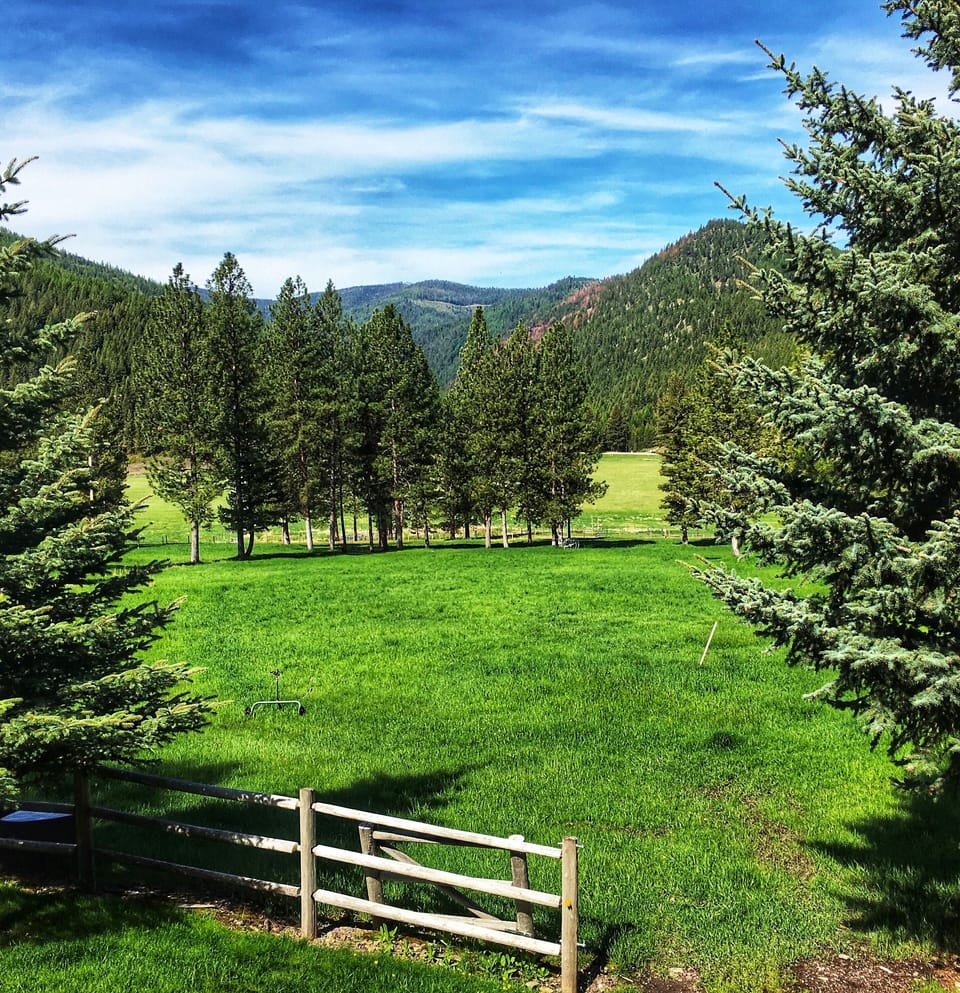 The Big Meadow in front of the Bunkhouse 