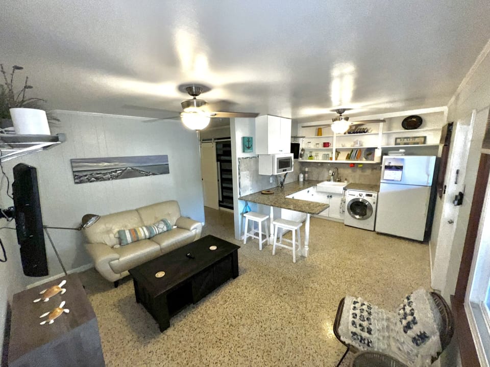 Living Room / Kitchen