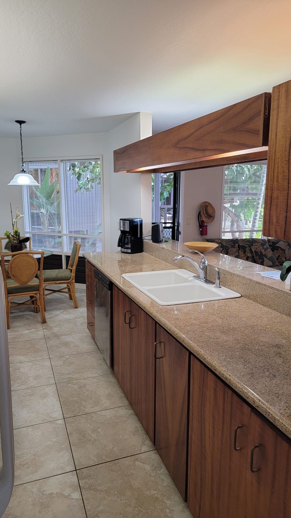 Double sink and dishwasher
