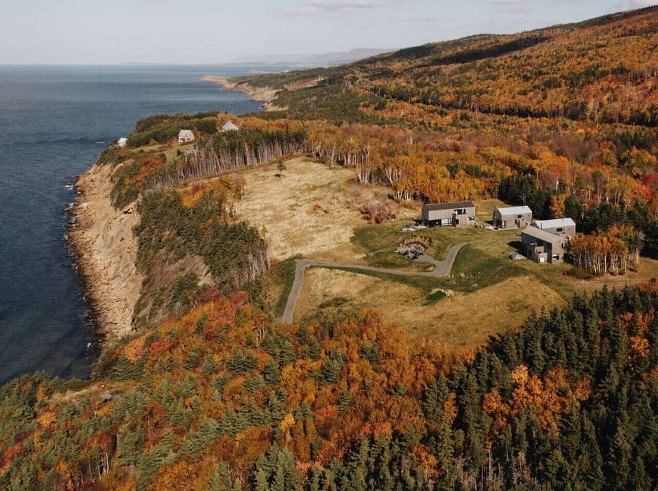 Fall Colours