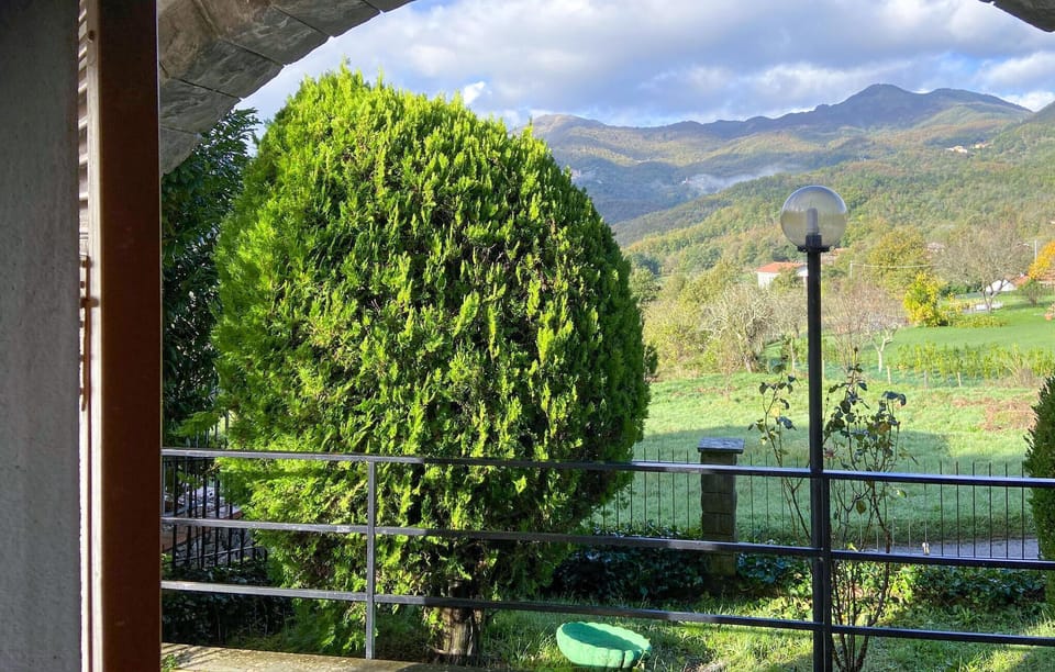 view-from-room