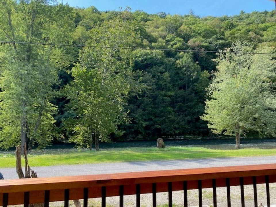 An unobstructed view of the Sinnemahoning Creek from the front porch.