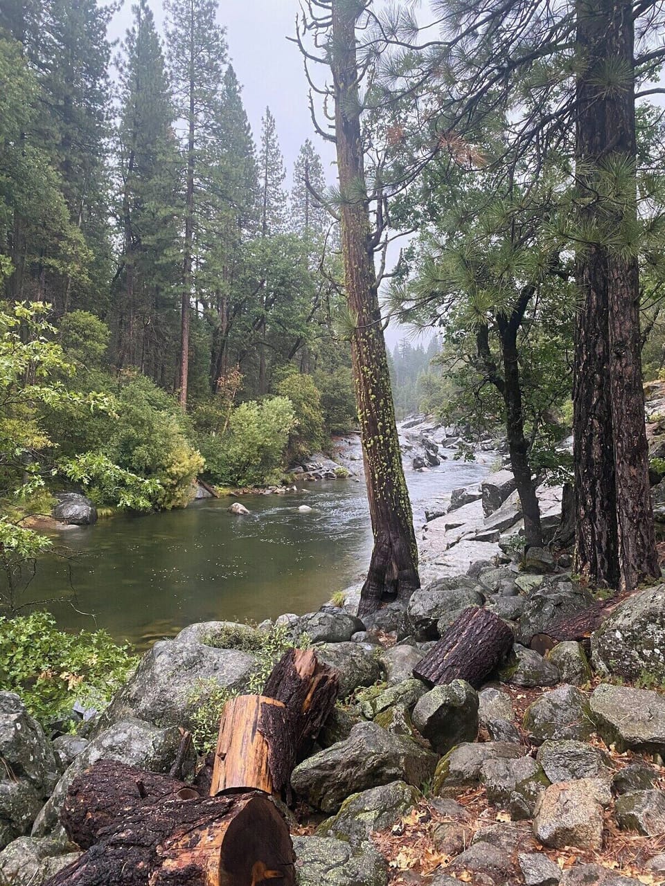 Just 15-20min away you can find river canyons, alpine meadows. Here is the Stanislaus River during  a fall rain storm.  There is beauty and adventure in every direction! 