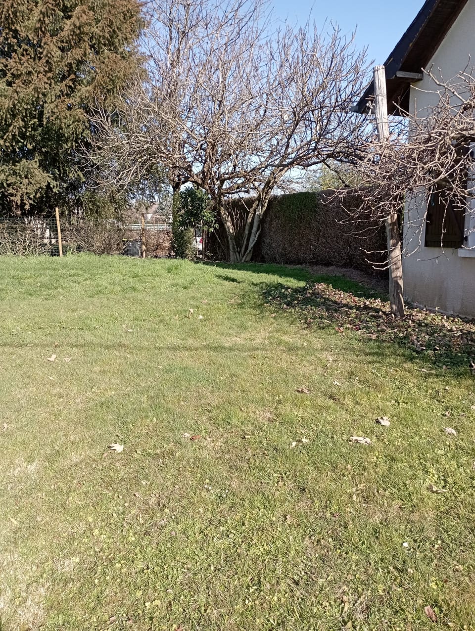 Property grounds