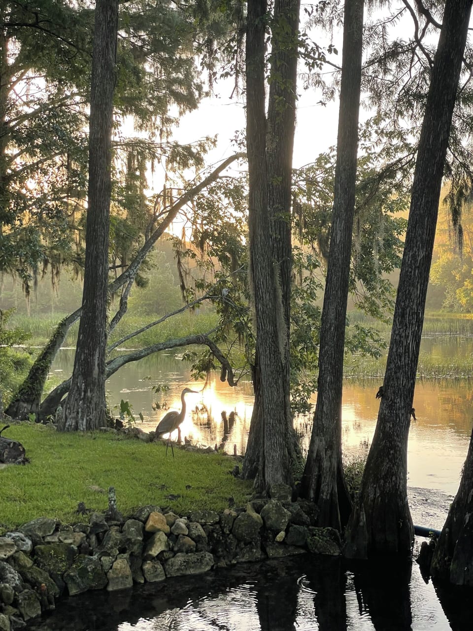 mornings and wildlife are spectacular!

