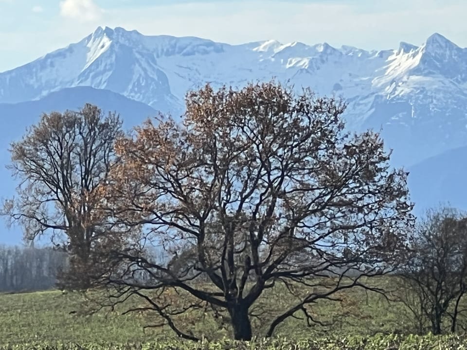 Amazing view to Pyrenees mountains