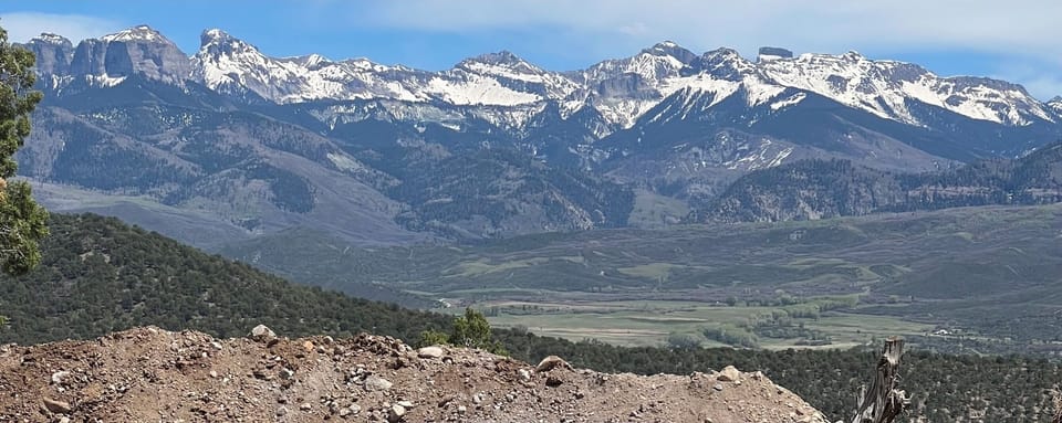 Back yard in the Spring