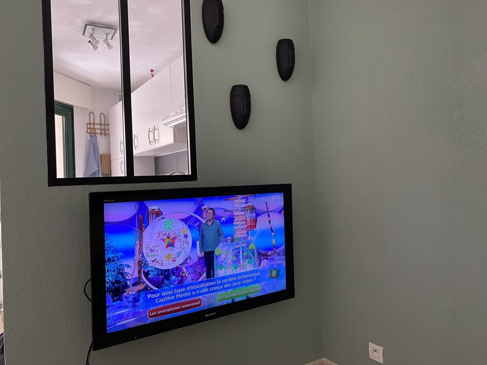 Television
