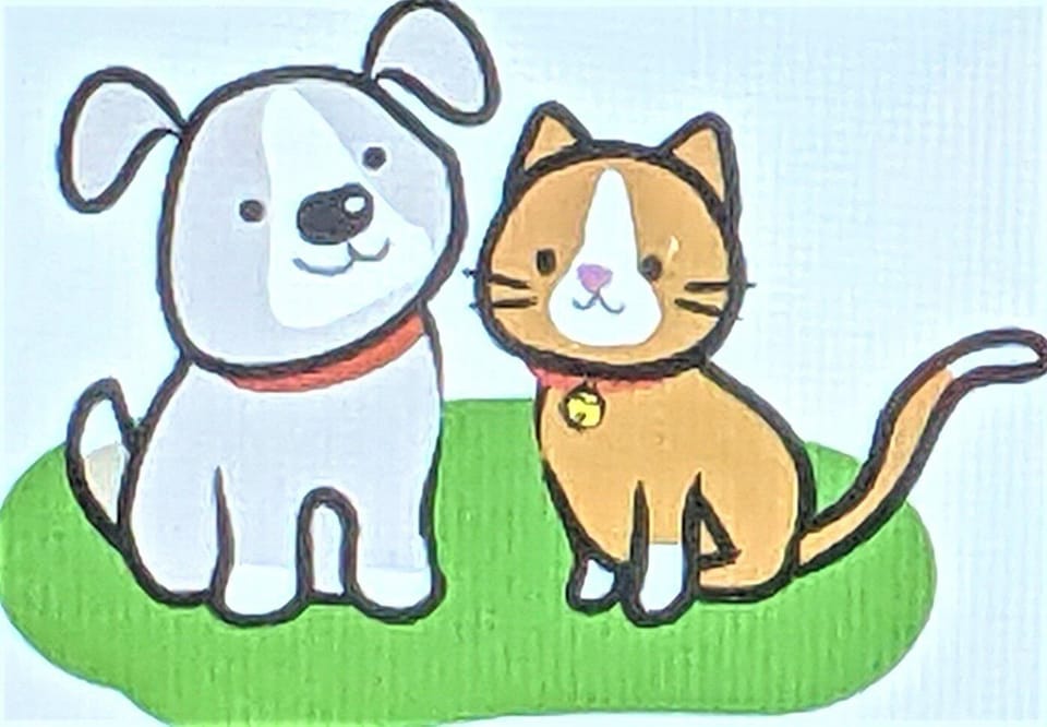 Dogs and cats also stay